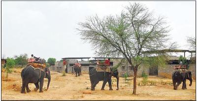‘haathigaon’setforrs8croremakeover